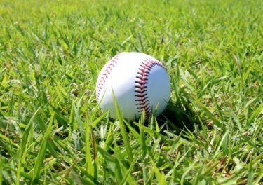 ダイヤモンドの功罪を読んだ感想｜AIの概要は平気で嘘をつく